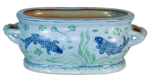 Blue and Green Two Color Carp and Water Plants Foot Bath