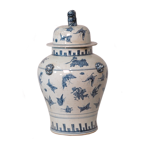 Butterfly General's Jar