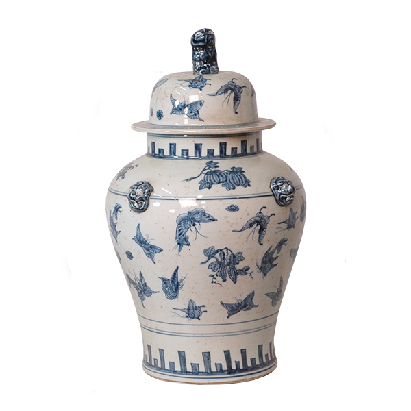 Butterfly General's Jar