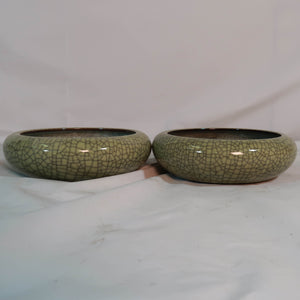 Celadon Plates